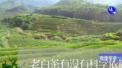 老白茶有没有科学依据呢/2023032852158