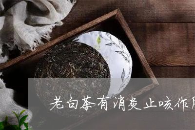 老白茶有消炎止咳作用吗/2023032843935