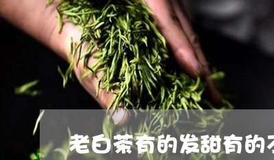 老白茶有的发甜有的不甜/2023032882825