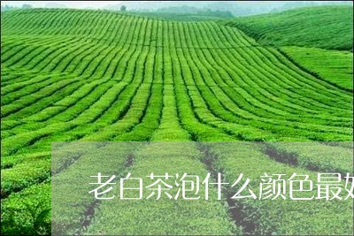 老白茶泡什么颜色最好看/2023032899595