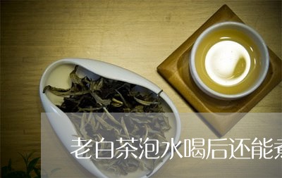 老白茶泡水喝后还能煮吗/2023032860713