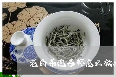 老白茶泡茶杯怎么放冰箱/2023032852147