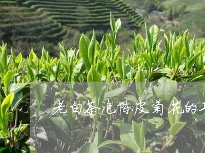 老白茶泡陈皮菊花的功效/2023032844270