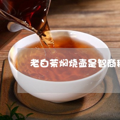 老白茶焖烧壶是智商税吗/2023032861614