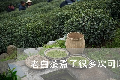 老白茶煮了很多次可以吗/2023032811503