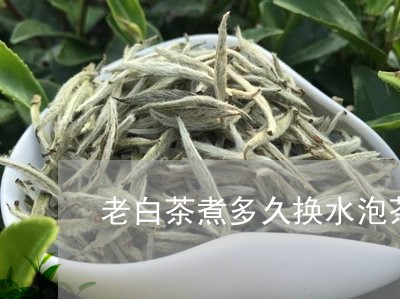 老白茶煮多久换水泡茶喝/2023032848260