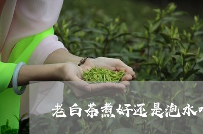 老白茶煮好还是泡水喝好/2023032882703