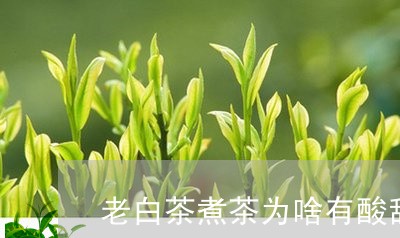 老白茶煮茶为啥有酸甜味/2023032857270