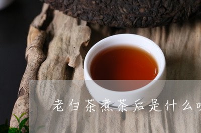 老白茶煮茶后是什么味道/2023032860926