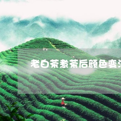 老白茶煮茶后颜色变淡了/2023032871504