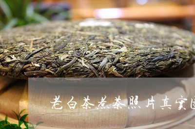 老白茶煮茶照片真实图像/2023032769603