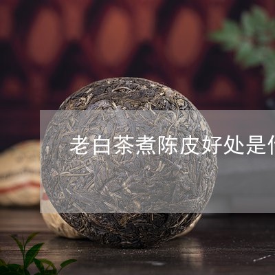 老白茶煮陈皮好处是什么/2023032770594