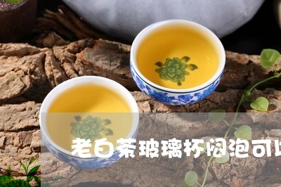 老白茶玻璃杯闷泡可以吗/2023032876159