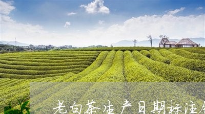 老白茶生产日期标注错误/2023032825252