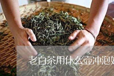 老白茶用什么壶冲泡好喝/2023032800294