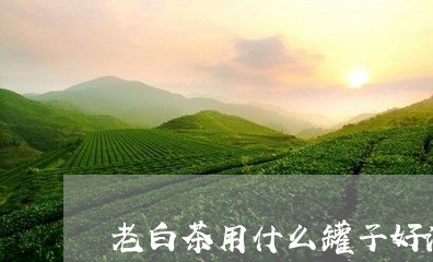 老白茶用什么罐子好泡茶/2023032884935