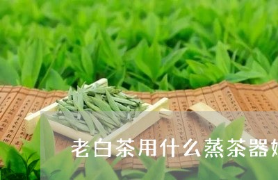 老白茶用什么蒸茶器好用/2023032839704