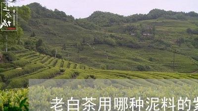 老白茶用哪种泥料的紫砂/2023032818150