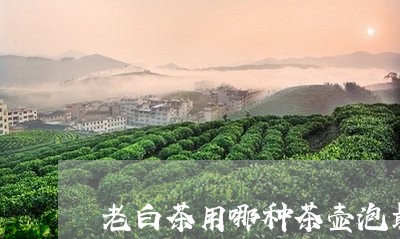 老白茶用哪种茶壶泡最好/2023032846393