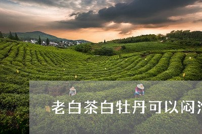 老白茶白牡丹可以闷泡吗/2023032885092