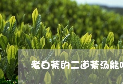 老白茶的二道茶汤能喝吗/2023032874126