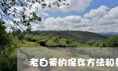 老白茶的保存方法和条件/2023032851716