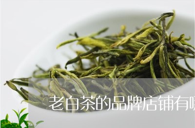 老白茶的品牌店铺有哪些/2023032872726