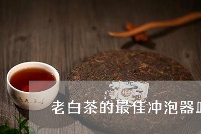 老白茶的最佳冲泡器皿是/2023032850483