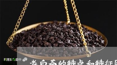 老白茶的特点和特征图片/2023032828279