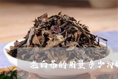 老白茶的用量多少为好喝/2023032851715