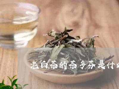 老白茶的茶多芬是什么茶/2023032846248