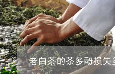 老白茶的茶多酚损失多吗/2023032857273