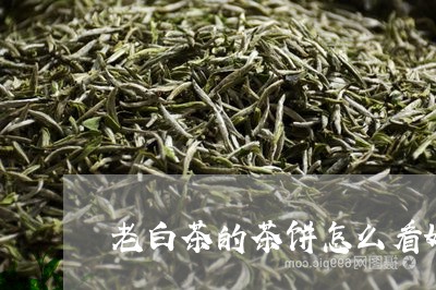 老白茶的茶饼怎么看好坏/2023032837394