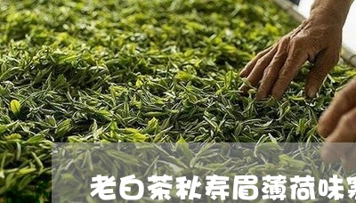 老白茶秋寿眉薄荷味寒露/2023032859472