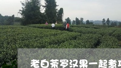 老白茶罗汉果一起煮功效/2023032862935