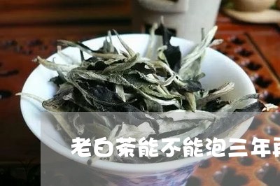 老白茶能不能泡三年再煮/2023032849693