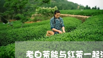 老白茶能与红茶一起泡吗/2023032813925