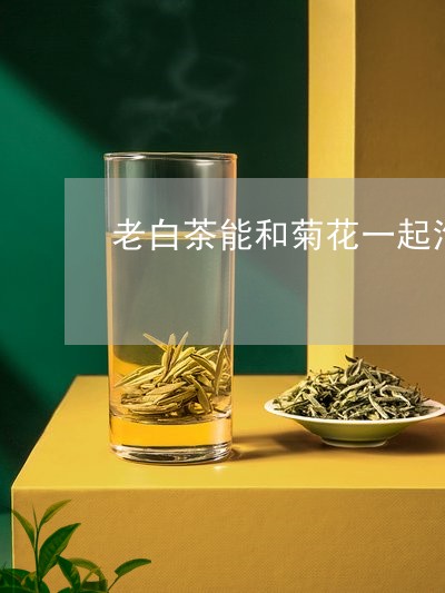 老白茶能和菊花一起泡吗/2023032873949