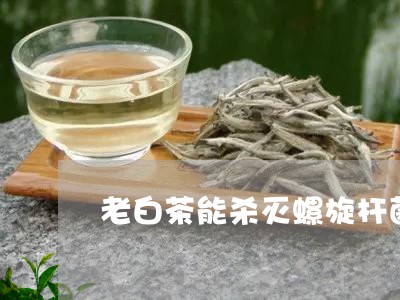 老白茶能杀灭螺旋杆菌吗/2023032871605