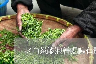 老白茶能泡着喝嘛有毒吗/2023032869470