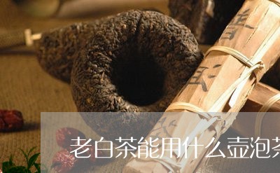 老白茶能用什么壶泡茶叶/2023032859203