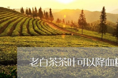 老白茶茶叶可以降血糖吗/2023032847481