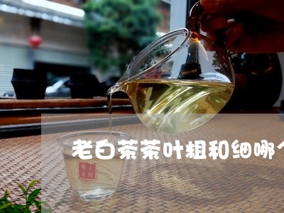 老白茶茶叶粗和细哪个好/2023032811593