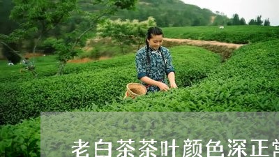 老白茶茶叶颜色深正常吗/2023032886048