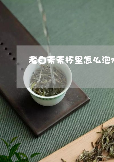 老白茶茶杯里怎么泡水喝/2023032850703