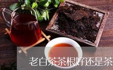 老白茶茶根好还是茶叶好/2023032873026