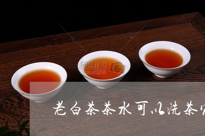 老白茶茶水可以洗茶宠吗/2023032800584