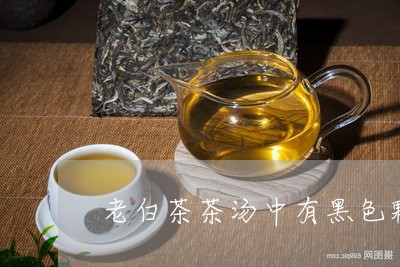 老白茶茶汤中有黑色颗粒/2023032870616