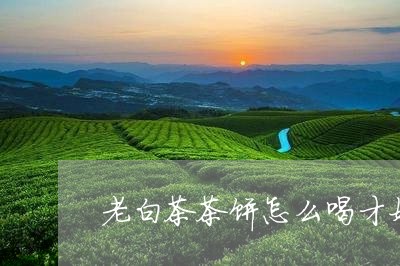 老白茶茶饼怎么喝才好喝/2023032766259