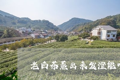 老白茶蒸出来发涩能喝吗/2023032770494